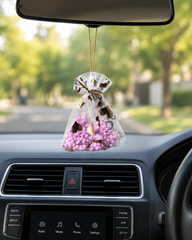 Autol Car Perfume Beads – Long Lasting Fragrance Booster Beads for Car, Closet & Home Air Freshener